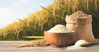 India will supply 2 lakh tons of broken rice to humanitarian efforts worldwide